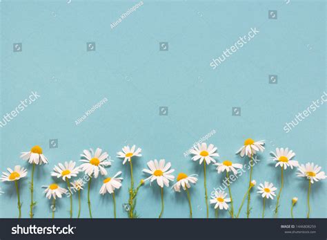 253,330 Daisy Blue Background Images, Stock Photos & Vectors | Shutterstock