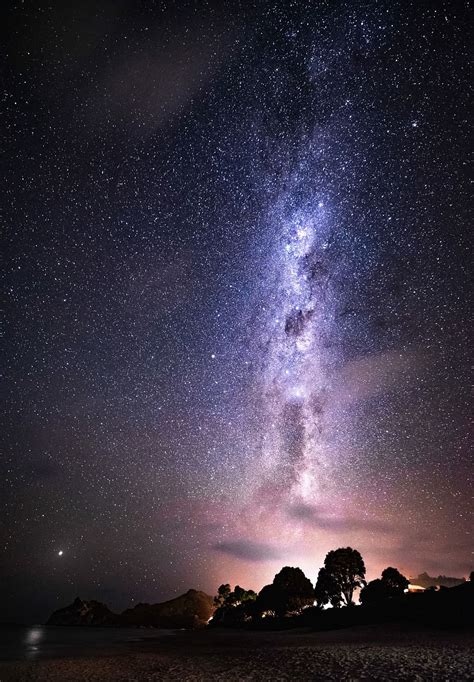 HD wallpaper: silhouette of tree during starry starry night, stars and ...