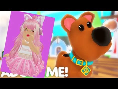 How To Get Free Scoob Pet In Adopt Me New Adopt Me Scoob Update