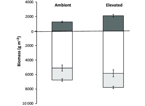 Live Aboveground Biomass Above The Horizontal Line And Root Biomass