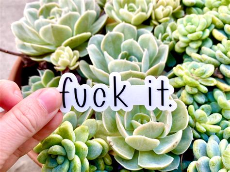 Fuck It Funny Personality Quote Sticker Mood Sticker Etsy