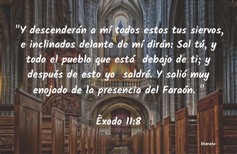 La Biblia Xodo