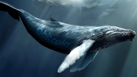 Whale Spends 10000 Btc Worth 203m Bitcoins Stem From The Infamous