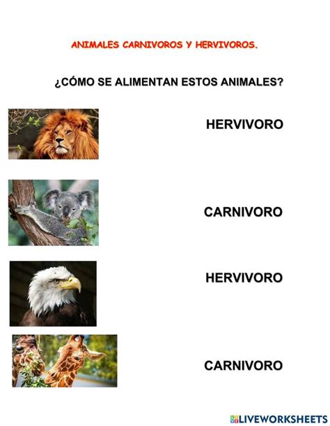 Animales carnívoros y herbívoros worksheet | Ccnn, Nature