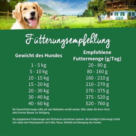 Wie viel wächst ein Hund mit 6 Monaten noch Alles was du wissen