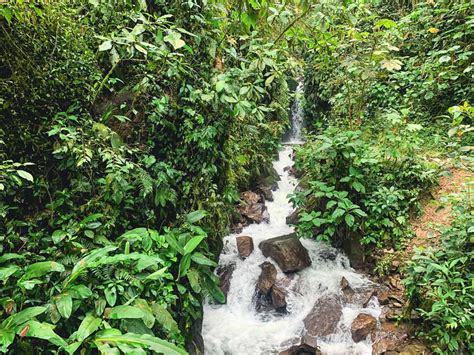 7 Mindo Waterfalls In The Ecuador Cloud Forest How To Visit In 2022 ...