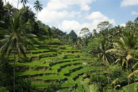 Små glimt fra den sidste uge på Bali Indonesien