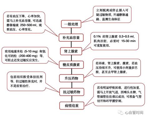 一图牢记：过敏性休克抢救步骤 丁香园