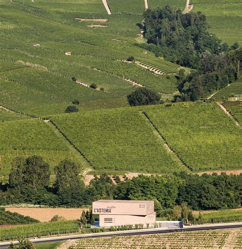 Lastemia Pentita Alla Scoperta Della Cantina Pi Pop Delle Langhe