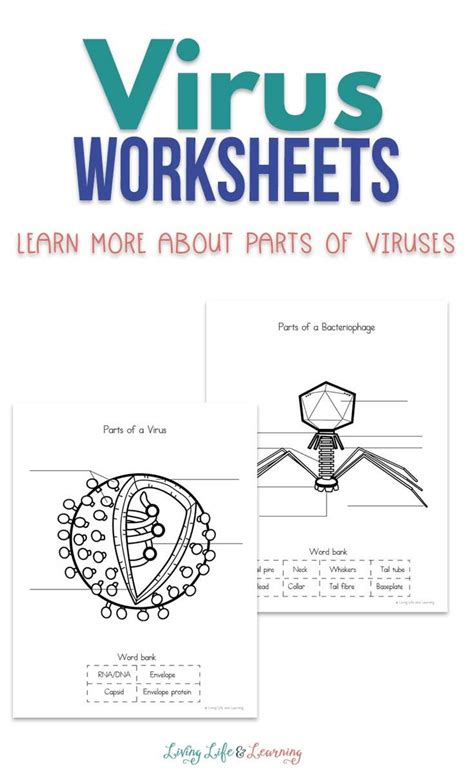 Virus Y Bacterias Liveworksheets