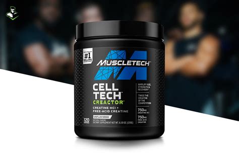 Creactor By MuscleTech Creatine Mr Supplement Australia