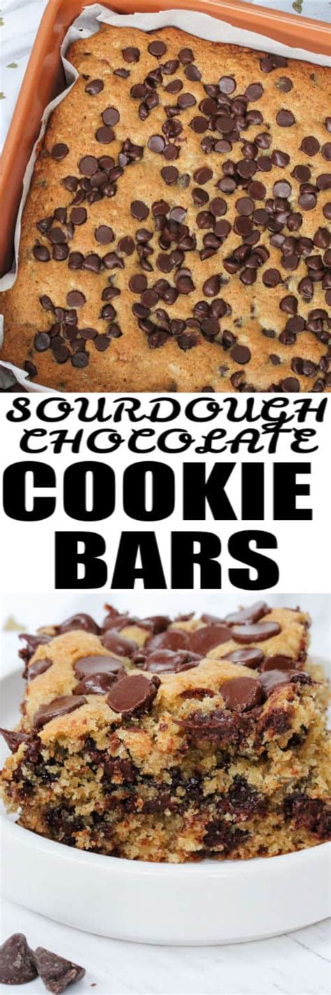 Sourdough Chocolate Chip Cookie Bars Or Cookies Our Zesty Life