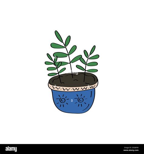 House Plant Flowers In Pot Ficus Icon Hand Drawn Vector Doodle