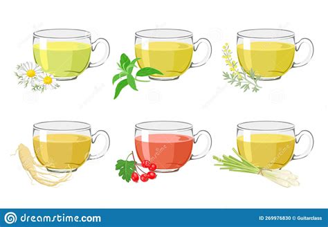 Set Of Herbal Medicinal Teas Of Different Types Glass Cups With