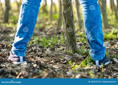 Man Peeing on a Tree in the Woods Stock Photo - Image of public, crotch ...