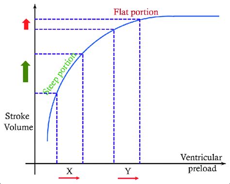 Frank Starling Curve A Flat Portion Of The Curve Where Preload