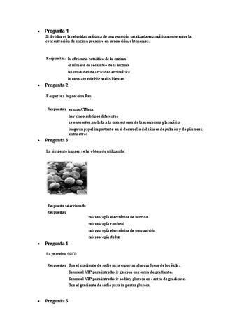 O Test Autoevaluacion Con Respuestas Pdf Pdf