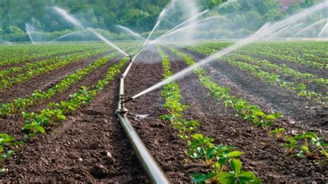 Pressurized Irrigation Sector Raised The Bar In Exports