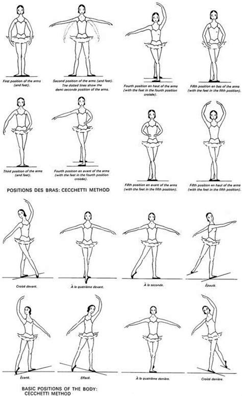 Free Printable Ballet Positions Learn To Dance At