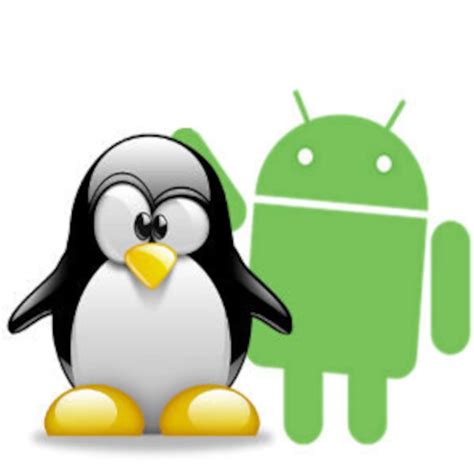 Come Installare Linux Su Android Senza Root E Con Root Guida All