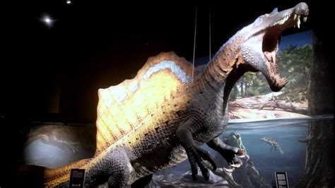 El Nuevo Spinosaurus AnÁlisis Al Documental De La National Geographic Youtube