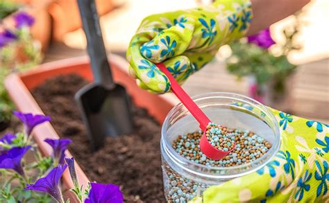 The Ultimate Guide To Organic Granular Fertilizers Garden Crafter