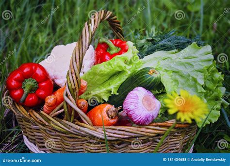 Cesto De Vime Legumes Naturais Frescos Sobre Fundo De Grama Verde