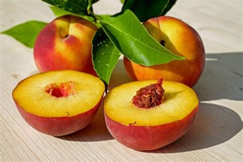 Growing Peaches The Complete Guide To Plant Care And Harvest Peaches