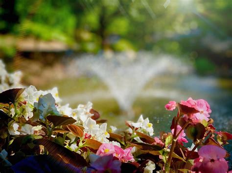 The hidden Mountain View Transit Center lounge that commuters love 1