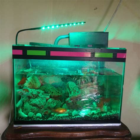 Jual Lampu Aquarium Led Smd Panjang Cm Titik Lampu Aquarium