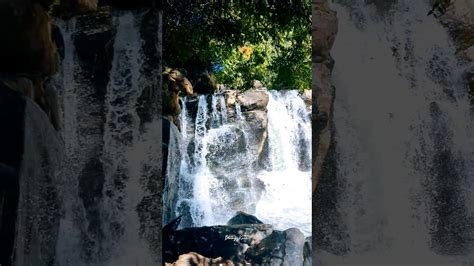 Mookanamane Abbi Falls Sakleshpura Sakleshpura Abbifalls