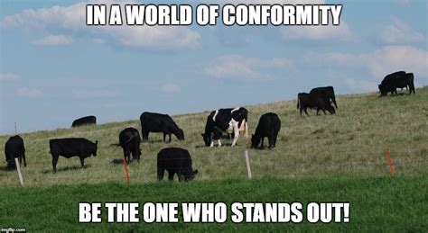 Conformity Memes And S Imgflip