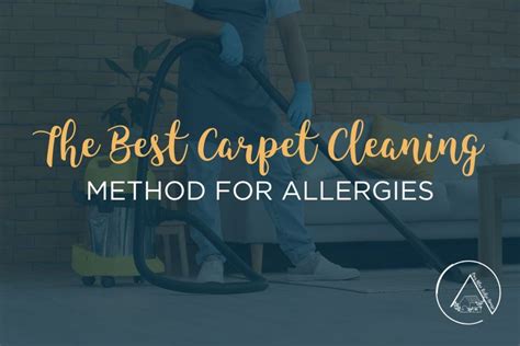 The Best Carpet Cleaning Methods For Allergies Our Blue Ridge House