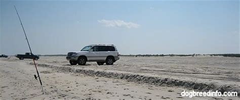 Assateague Island National Seashore Over Sand Vehicle Use Osv