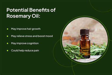 Rosemary Oil Benefits Uses Side Effects And More