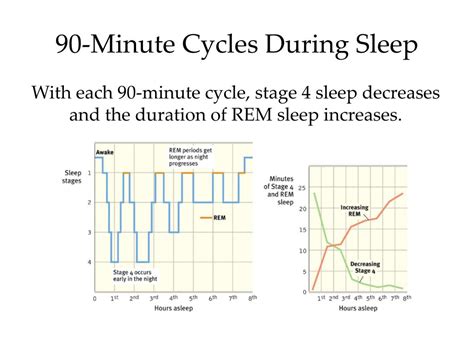 Ppt Sleep Stages Powerpoint Presentation Free Download Id1101719