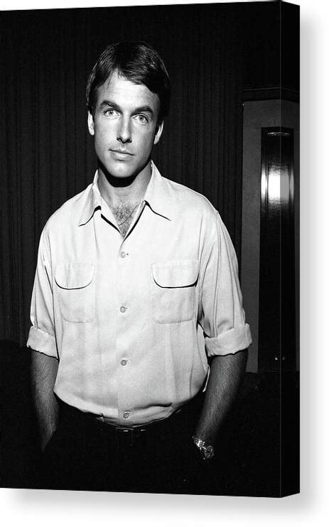 Mark Harmon Canvas Print Canvas Art By Mediapunch Photos