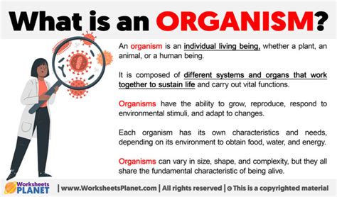 What is an Organism | Definition of Organism