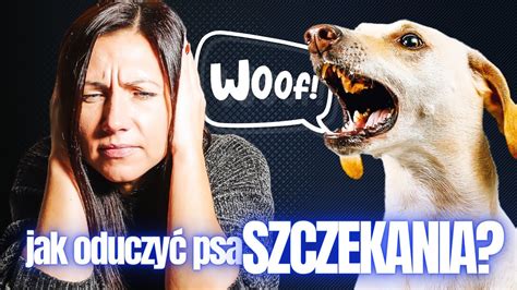 Jak Oduczy Psa Szczekania Youtube