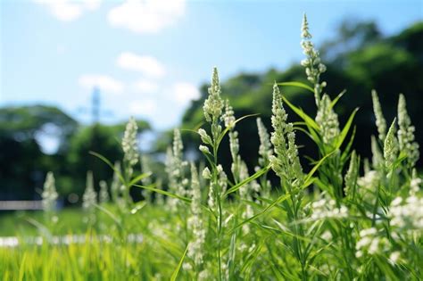 page  filelds images    freepik