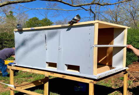 How To Build Pigeon Loft