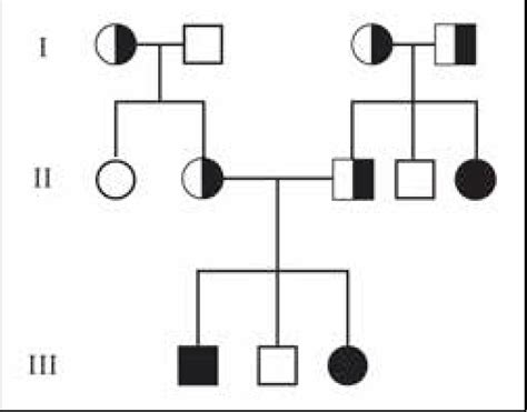 Autosomal Recessive Inheritance Pedigree