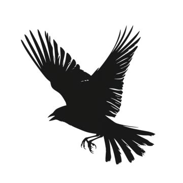 Bird Flying Sparrow Silhouette Sparrow Bird Silhouette PNG