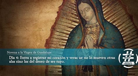 Cuarto Día de la Novena a la Virgen de Guadalupe Desde las Redes