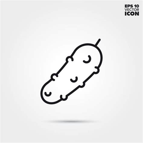 2500 Gherkin Icon Stock Illustrations Royalty Free Vector Graphics