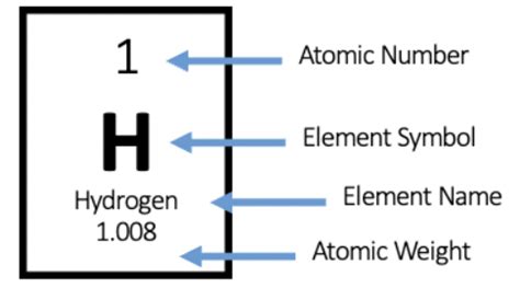 Chapter 2 Chemical Basis Of Life Flashcards Quizlet