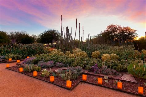 Botanical Gardens Phoenix Pumpkin Festival | Fasci Garden