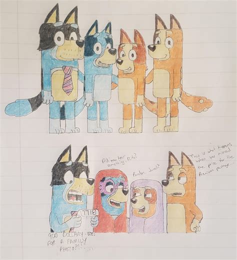 Heeler Family Photo + Aftermath : r/bluey