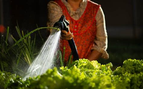 Industria Mexicana De Coca Cola Redobla Su Compromiso De Cuidar El Agua