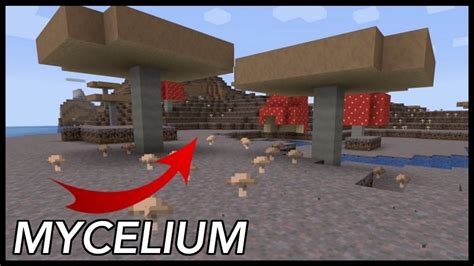 The Uses For Mycelium In Minecraft